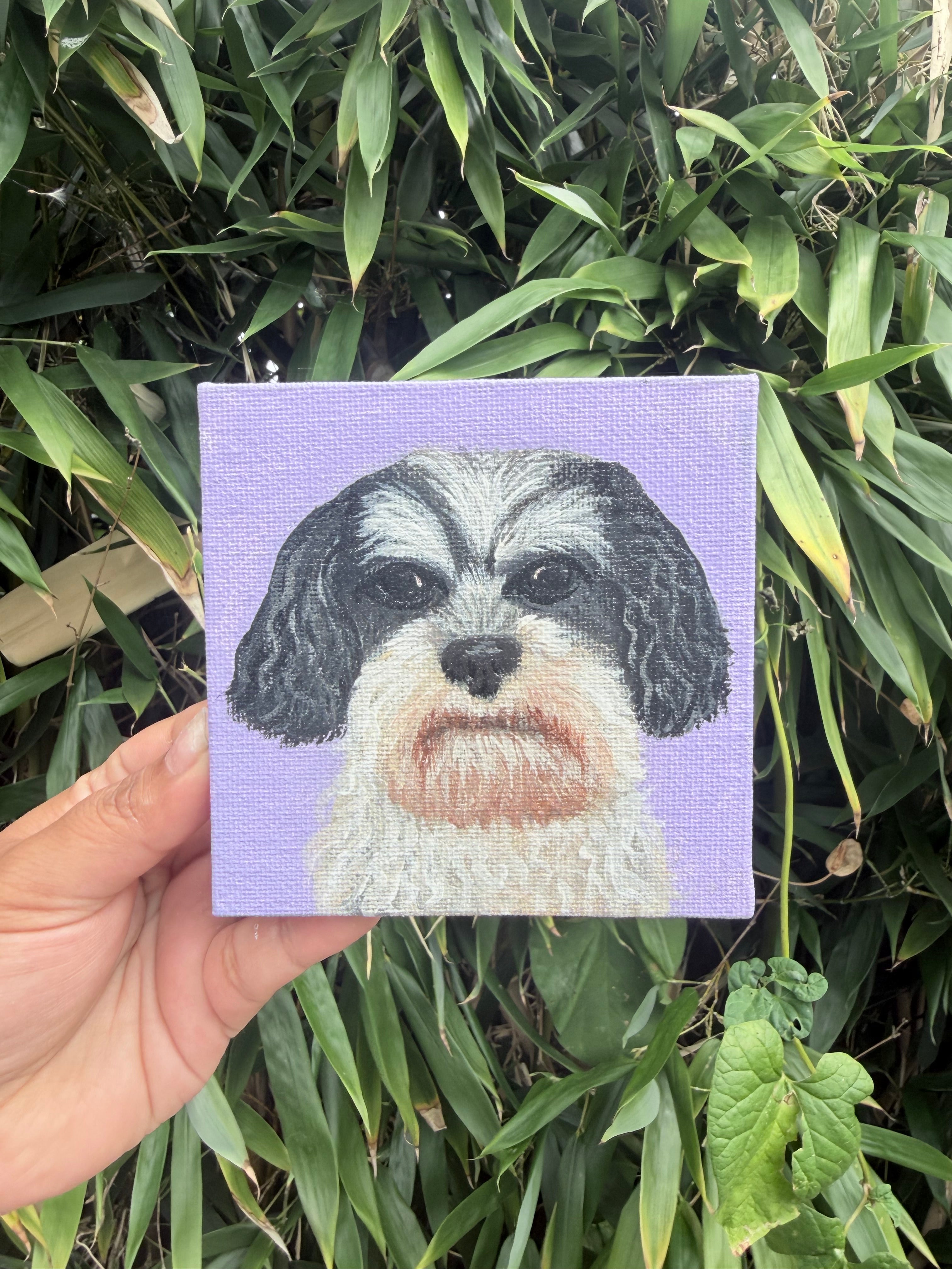 Custom Pet Portraits