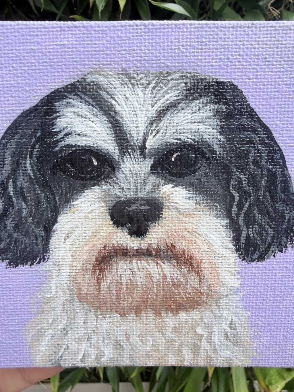 Custom Hand-Painted Pet Portrait – Original Acrylic Canvas